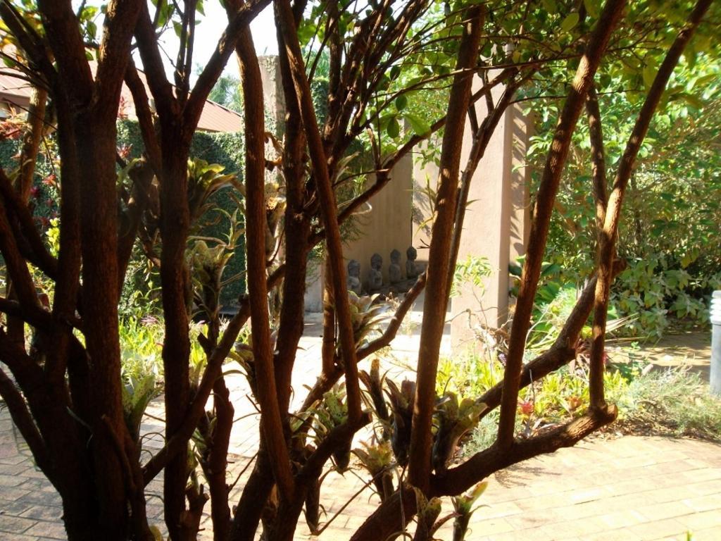 ווייט ריבר Ku De Ta B&B מראה חיצוני תמונה