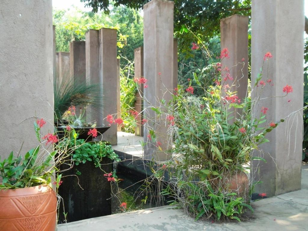 ווייט ריבר Ku De Ta B&B מראה חיצוני תמונה